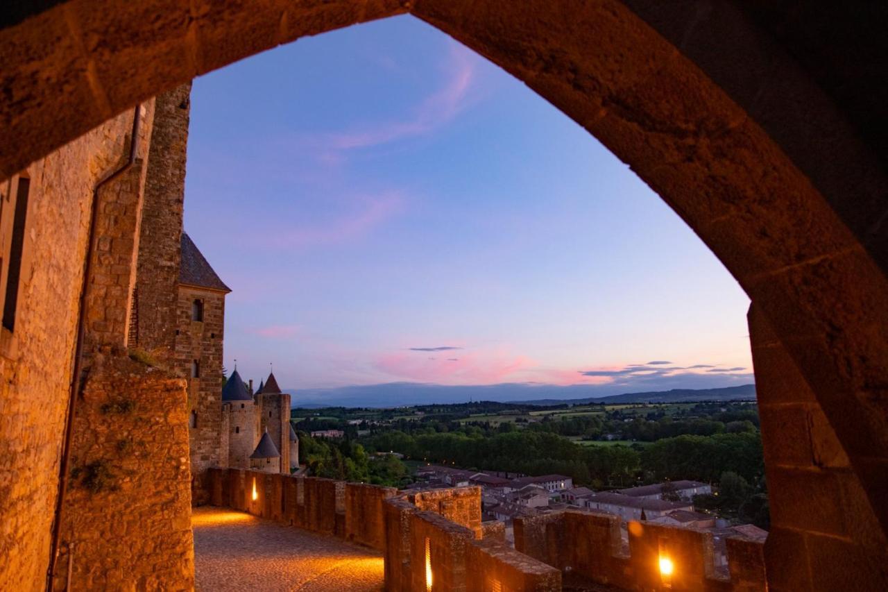 Tout Confort ! Calme, Climatisation, Piscine, Parking Gratuit, Grande Terrasse, Netflix, Wifi Carcassonne Zewnętrze zdjęcie