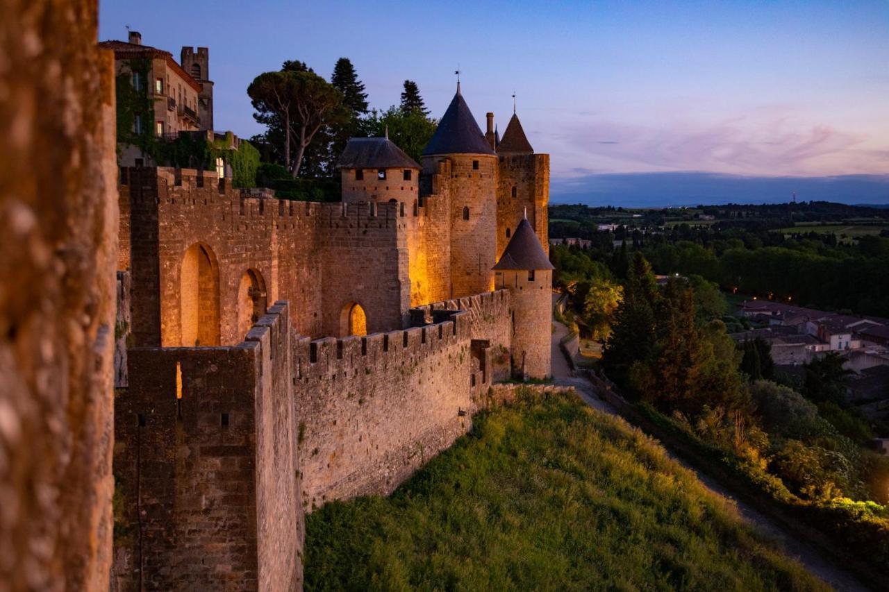 Tout Confort ! Calme, Climatisation, Piscine, Parking Gratuit, Grande Terrasse, Netflix, Wifi Carcassonne Zewnętrze zdjęcie