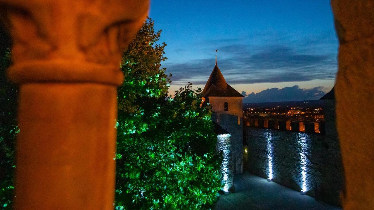 Tout Confort ! Calme, Climatisation, Piscine, Parking Gratuit, Grande Terrasse, Netflix, Wifi Carcassonne Zewnętrze zdjęcie