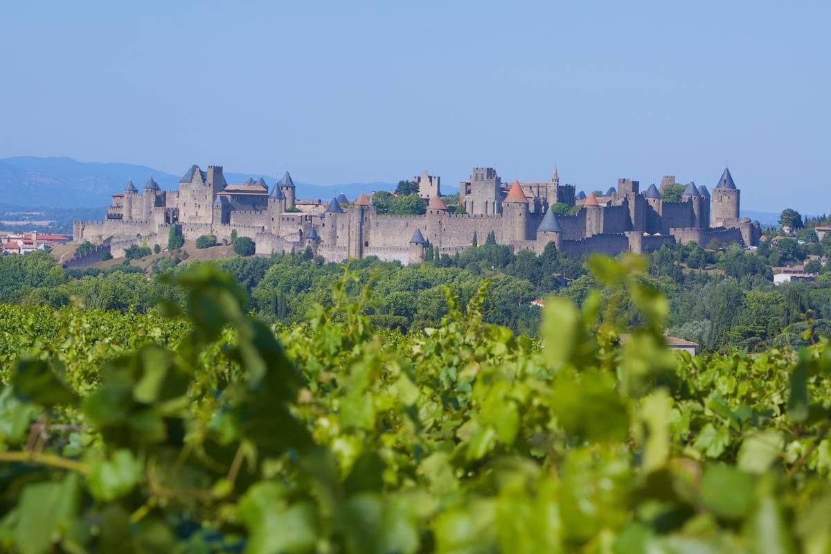 Tout Confort ! Calme, Climatisation, Piscine, Parking Gratuit, Grande Terrasse, Netflix, Wifi Carcassonne Zewnętrze zdjęcie