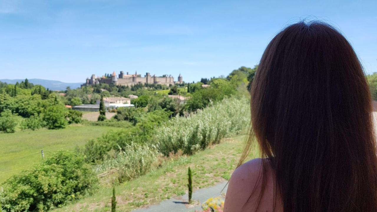 Tout Confort ! Calme, Climatisation, Piscine, Parking Gratuit, Grande Terrasse, Netflix, Wifi Carcassonne Zewnętrze zdjęcie