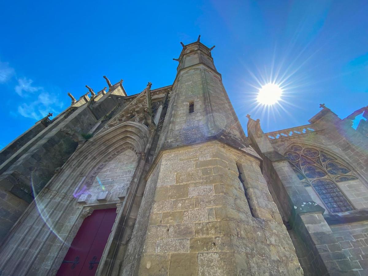 Tout Confort ! Calme, Climatisation, Piscine, Parking Gratuit, Grande Terrasse, Netflix, Wifi Carcassonne Zewnętrze zdjęcie